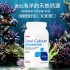 美国GNC CORAL 珊瑚鈣 180粒 